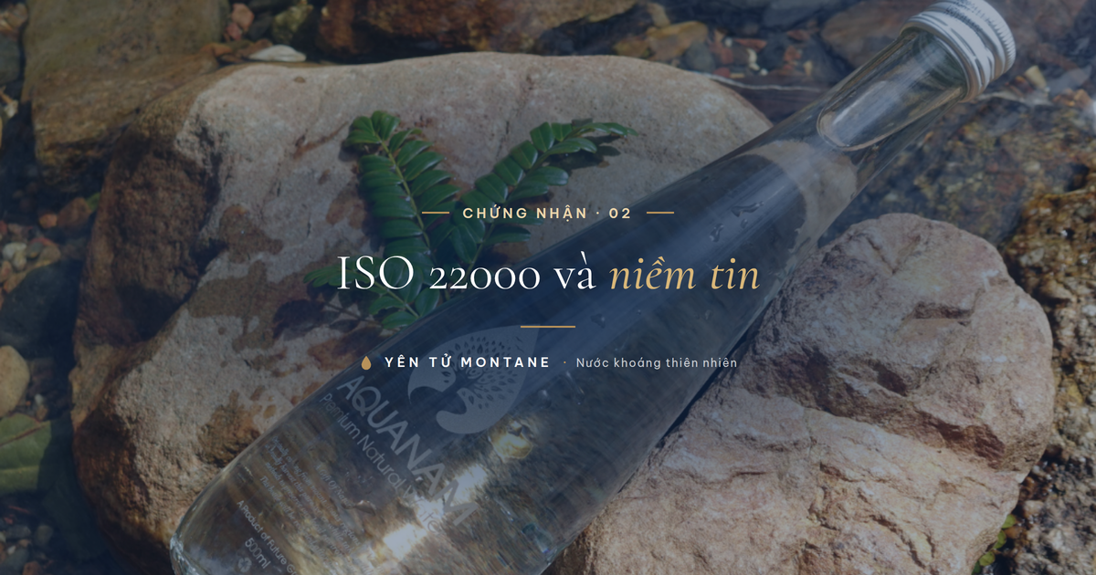 Chai nước khoáng Yên Tử Montane trên nền đá suối tự nhiên — chuẩn an toàn thực phẩm ISO 22000