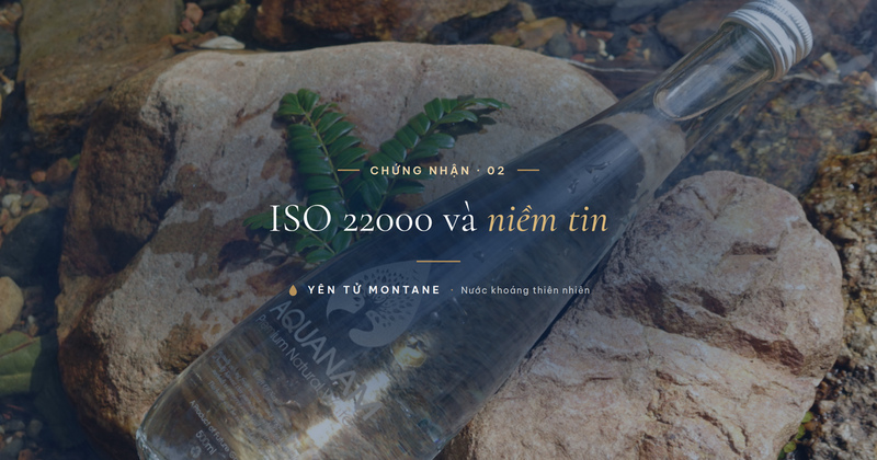 Chai nước khoáng Yên Tử Montane trên nền đá suối tự nhiên — chuẩn an toàn thực phẩm ISO 22000