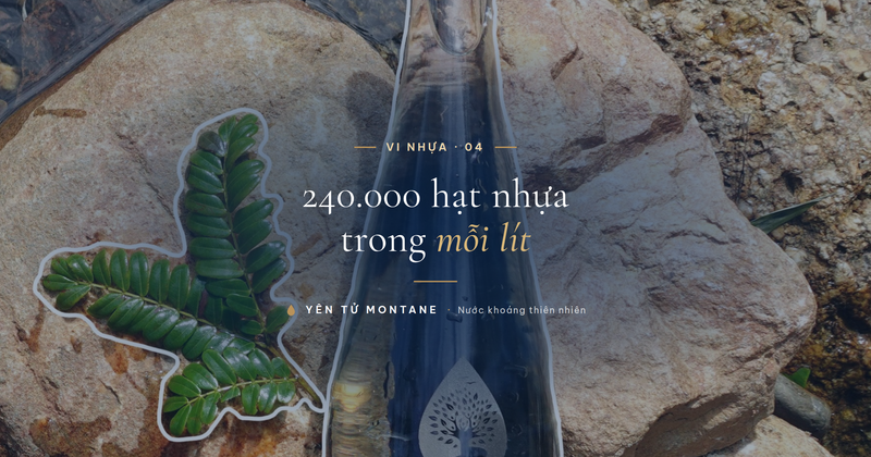 Chai nước thủy tinh Yên Tử Montane trong vắt bên dòng suối đá tự nhiên