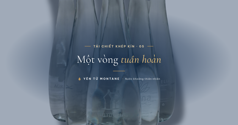 Nhóm chai thủy tinh Yên Tử Montane tái sử dụng trong vòng tuần hoàn khép kín