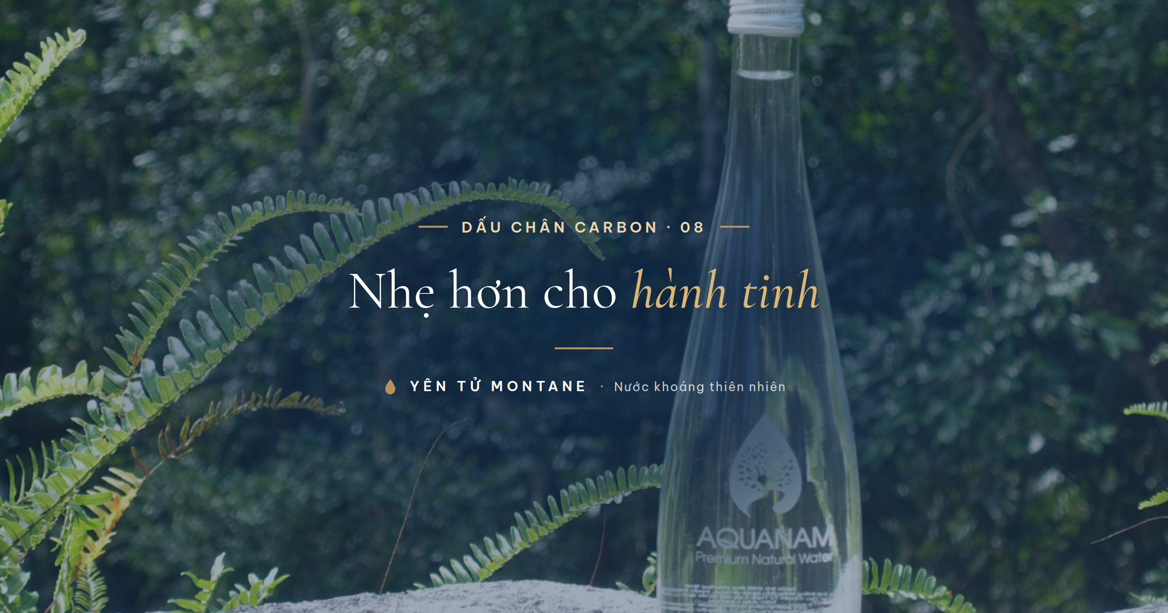 Chai thủy tinh Yên Tử Montane giữa thiên nhiên xanh, dấu chân carbon thấp