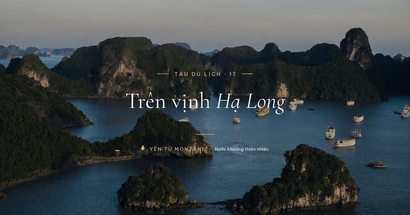 Đội tàu du lịch neo đậu trên vịnh Hạ Long lúc hoàng hôn