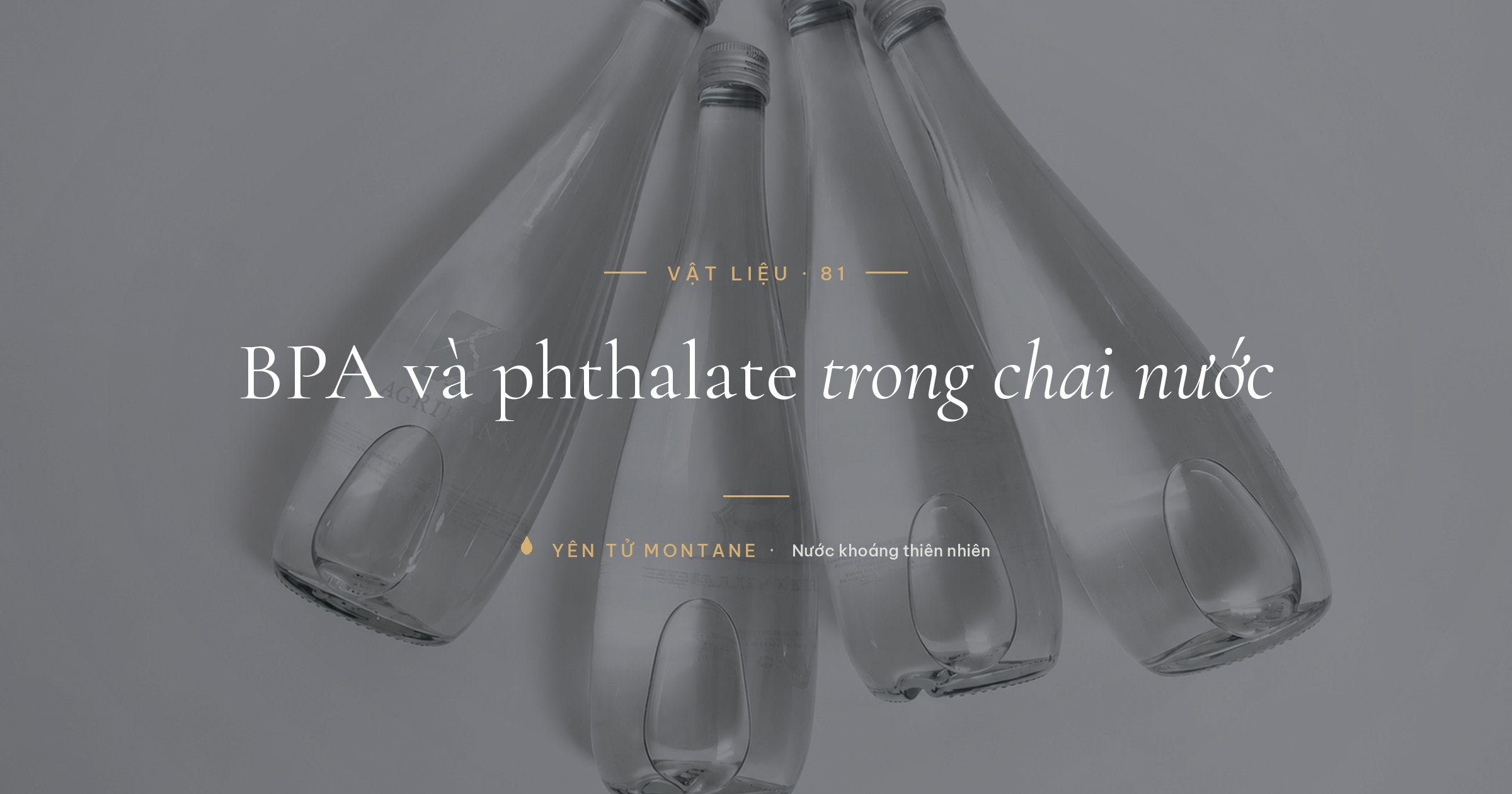 BPA và phthalate trong chai nước, chai thủy tinh tái chiết Yên Tử Montane