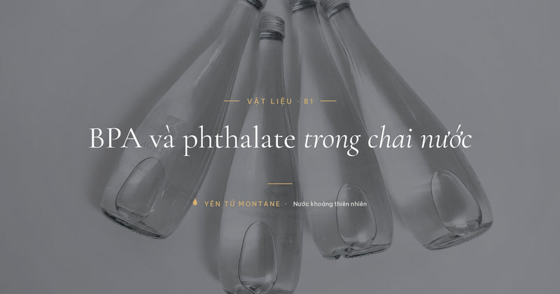 BPA và phthalate trong chai nước, chai thủy tinh tái chiết Yên Tử Montane
